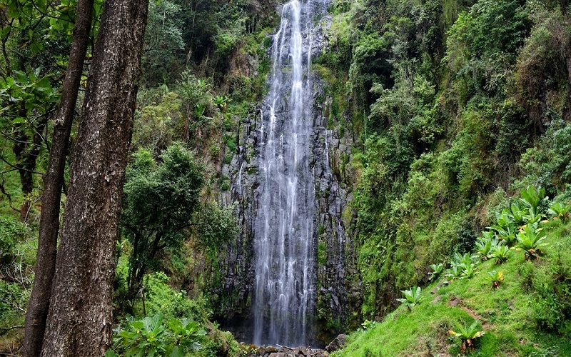 materuni waterfalls & coffee tour – scenic hike & coffee experience